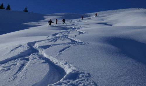 Artikelbild zu Artikel 12.01.2022 – Skitouren: Höllritzereck 1669 m, Westl. Allgäuer Voralpen