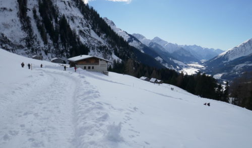 Artikelbild zu Artikel 10.02.2022 – Genießer Touren: Winterwanderung Stabl Alm 1412 m, Lechtaler Alpen