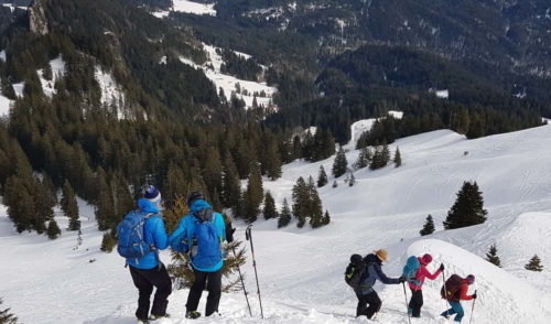 Artikelbild zu Artikel 02.03.22 – Skitouren: Grünten 1738 m, Östl. Allgäuer Voralpen