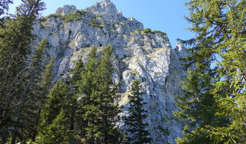 Artikelbild zu Artikel 23.05.2026 – Bergtour: Apostelgrat
