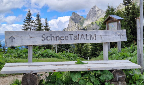 Artikelbild zu Artikel 10.06.2026 – Genießertour: Von Höfen bei Reutte über die Höfener Alm zur Schneetal Alm und über die Lechaschauer Alm zurück zum Parkplatz 