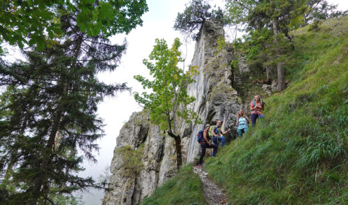 Artikelbild zu Artikel 21.09.2026 – Bergtour: Schellschlicht 2053, Ammergauer Alpen 